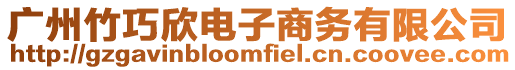 廣州竹巧欣電子商務(wù)有限公司