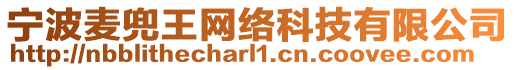 寧波麥兜王網絡科技有限公司
