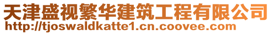 天津盛視繁華建筑工程有限公司