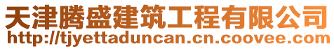 天津騰盛建筑工程有限公司