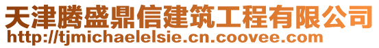 天津騰盛鼎信建筑工程有限公司
