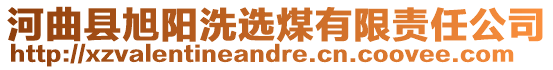 河曲縣旭陽(yáng)洗選煤有限責(zé)任公司