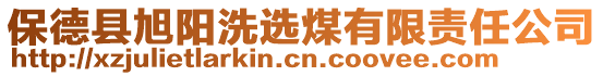 保德縣旭陽洗選煤有限責任公司