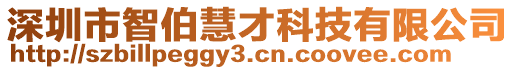 深圳市智伯慧才科技有限公司