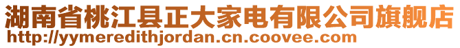 湖南省桃江縣正大家電有限公司旗艦店