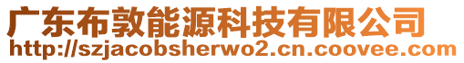 廣東布敦能源科技有限公司