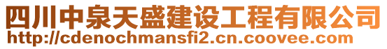 四川中泉天盛建設(shè)工程有限公司