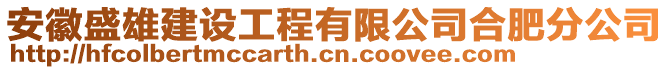 安徽盛雄建設工程有限公司合肥分公司