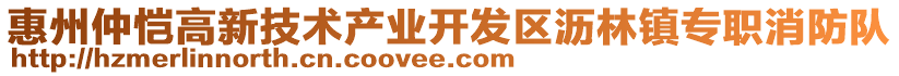 惠州仲愷高新技術產業開發區瀝林鎮專職消防隊