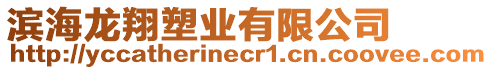 濱海龍翔塑業(yè)有限公司
