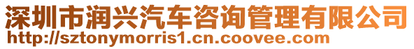 深圳市潤興汽車咨詢管理有限公司