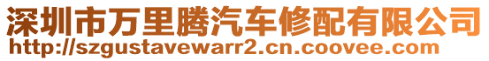 深圳市萬里騰汽車修配有限公司