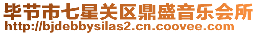 畢節市七星關區鼎盛音樂會所