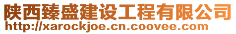 陜西臻盛建設工程有限公司