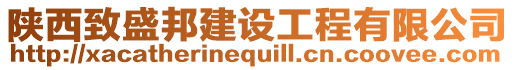 陜西致盛邦建設(shè)工程有限公司