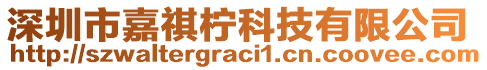 深圳市嘉祺檸科技有限公司