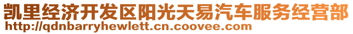 凱里經(jīng)濟(jì)開發(fā)區(qū)陽(yáng)光天易汽車服務(wù)經(jīng)營(yíng)部