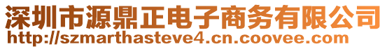 深圳市源鼎正電子商務(wù)有限公司