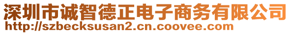 深圳市誠智德正電子商務(wù)有限公司