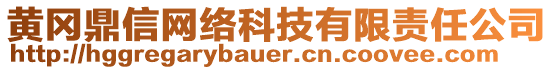 黃岡鼎信網(wǎng)絡(luò)科技有限責任公司