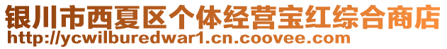 銀川市西夏區個體經營寶紅綜合商店