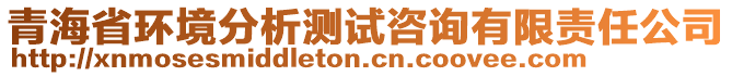 青海省環(huán)境分析測試咨詢有限責(zé)任公司