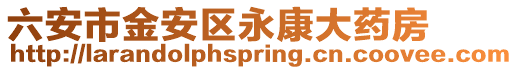 六安市金安區永康大藥房