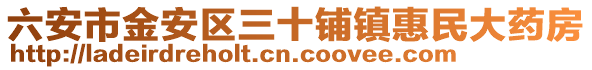 六安市金安區(qū)三十鋪鎮(zhèn)惠民大藥房