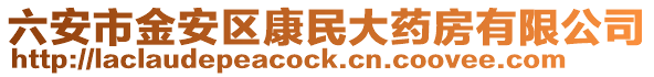 六安市金安區(qū)康民大藥房有限公司