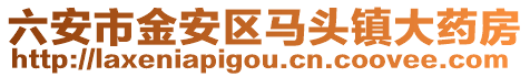 六安市金安區(qū)馬頭鎮(zhèn)大藥房