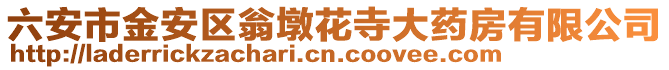 六安市金安區(qū)翁墩花寺大藥房有限公司