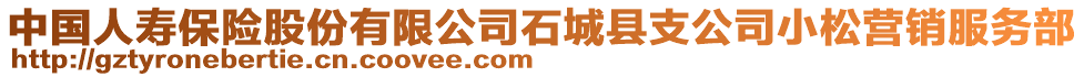 中國人壽保險股份有限公司石城縣支公司小松營銷服務(wù)部