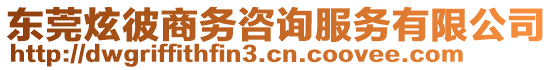 東莞炫彼商務(wù)咨詢服務(wù)有限公司