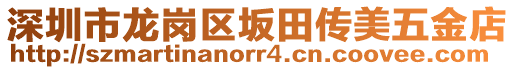 深圳市龍崗區(qū)坂田傳美五金店