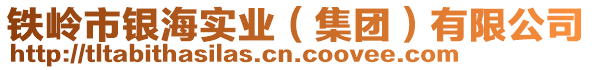 鐵嶺市銀海實業(yè)(集團(tuán))有限公司