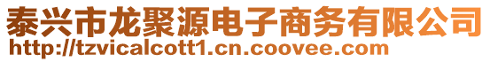 泰興市龍聚源電子商務(wù)有限公司
