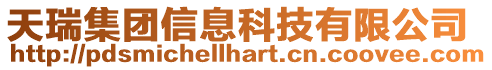 天瑞集團信息科技有限公司