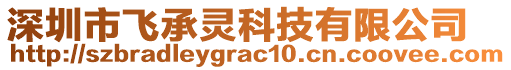 深圳市飛承靈科技有限公司