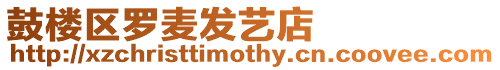 鼓樓區羅麥發藝店