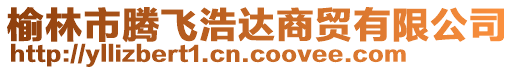 榆林市騰飛浩達商貿有限公司