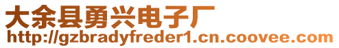 大余縣勇興電子廠