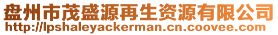 盤州市茂盛源再生資源有限公司