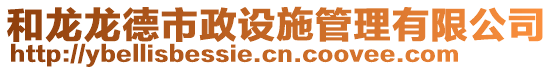 和龍龍德市政設(shè)施管理有限公司