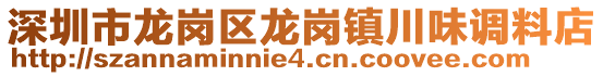 深圳市龍崗區(qū)龍崗鎮(zhèn)川味調(diào)料店