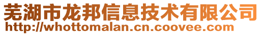 蕪湖市龍邦信息技術有限公司