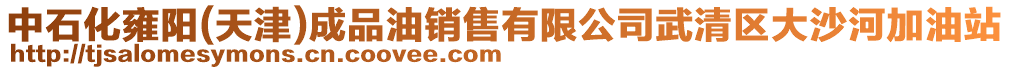 中石化雍陽(yáng)(天津)成品油銷售有限公司武清區(qū)大沙河加油站