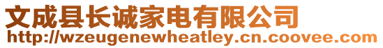 文成縣長誠家電有限公司