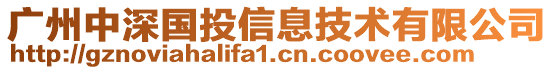 广州中深国投信息技术有限公司