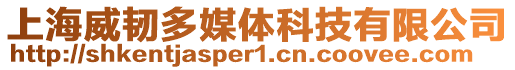上海威韌多媒體科技有限公司