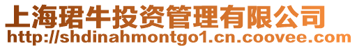 上?，B牛投資管理有限公司